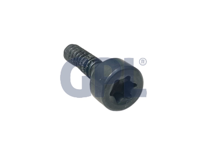 Screw Itxsct Mt4X16 T27 129 5864449-01 in the group Spare Parts Robotic Lawn Mower / Spare parts Husqvarna Automower® 435X AWD / Automower 435X AWD - 2023 at GPLSHOP (5864449-01)