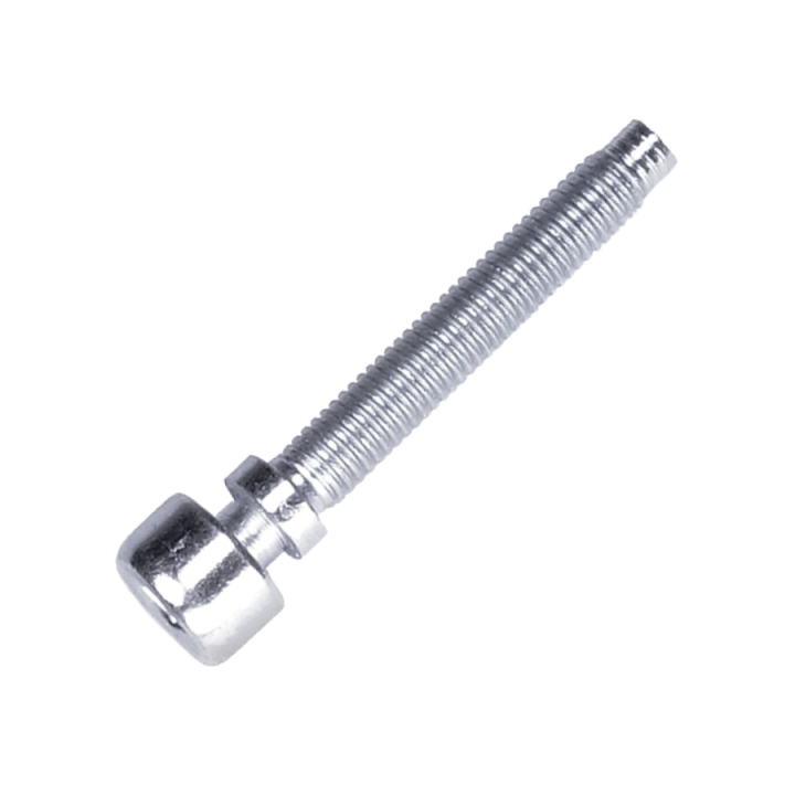 Screw in the group at GPLSHOP (5866416-01)