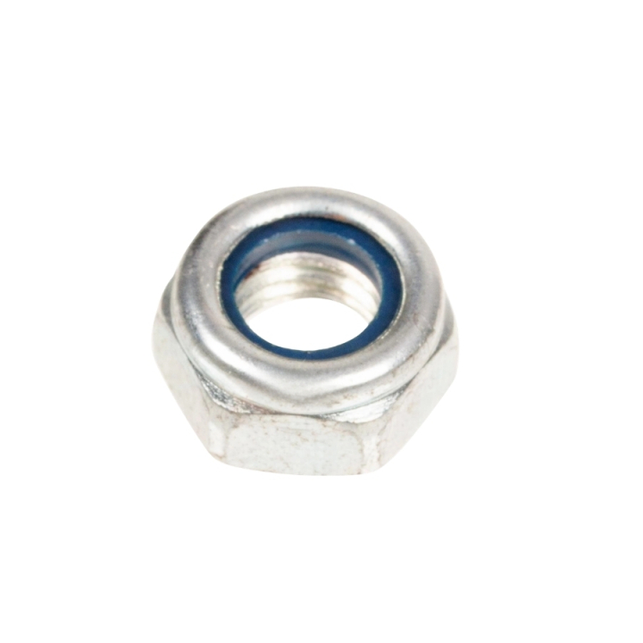 Nut in the group at GPLSHOP (5879501-01)