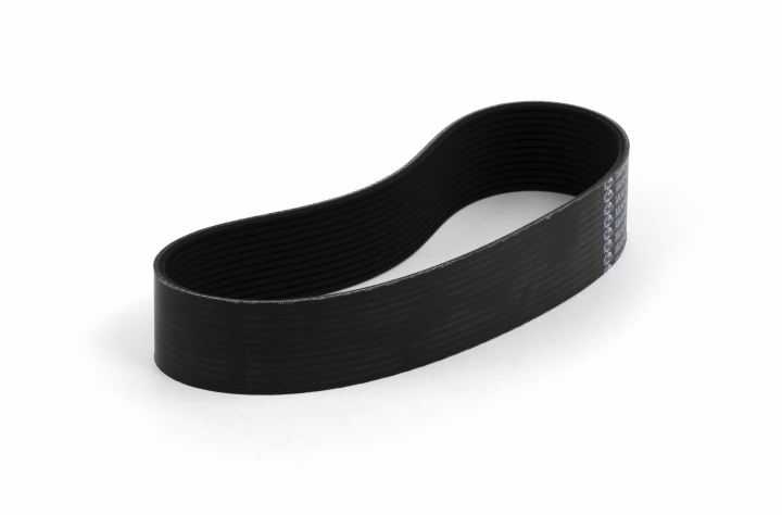 Belt in the group at GPLSHOP (5887685-01)