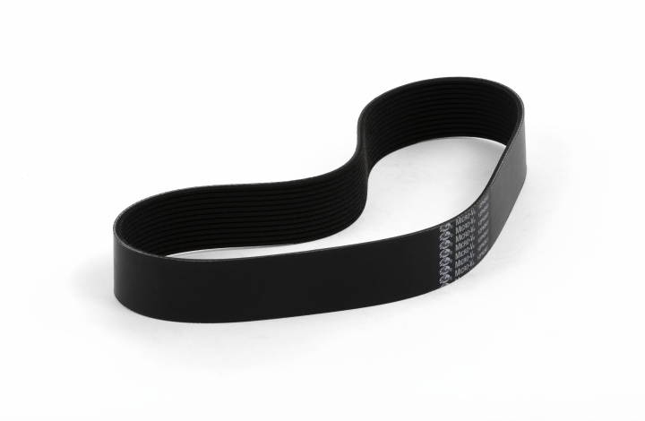 Belt in the group at GPLSHOP (5887686-01)