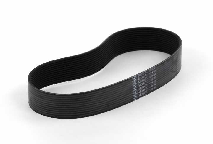 Belt in the group at GPLSHOP (5887687-01)