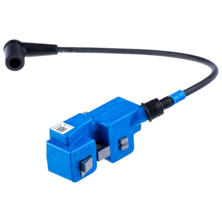 Ignition Module 5889374-03 in the group  at GPLSHOP (5889374-03)