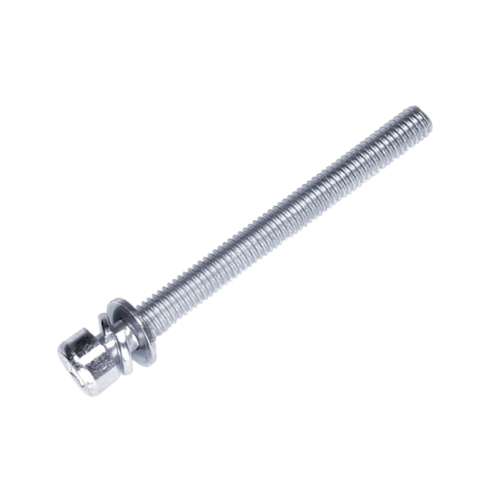 Screw M6X65 in the group  at GPLSHOP (5971462-01)