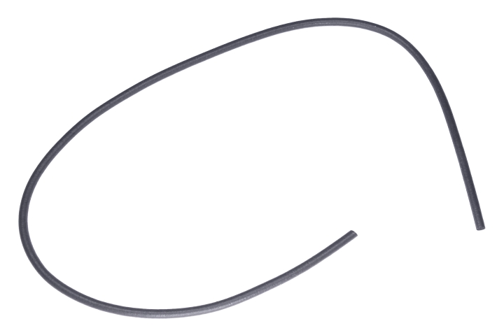 Seal in the group at GPLSHOP (5972433-01)