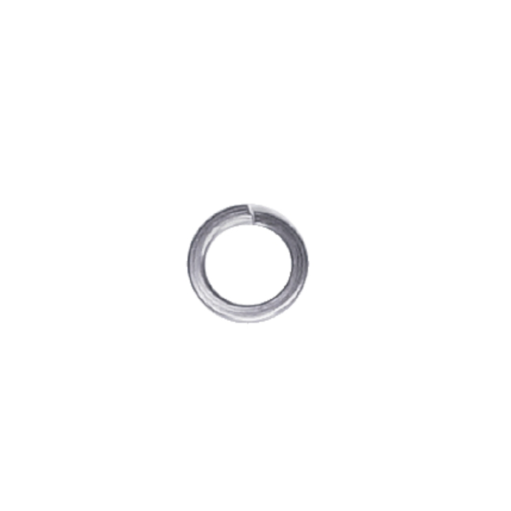 Spring washer in the group  at GPLSHOP (5989708-01)