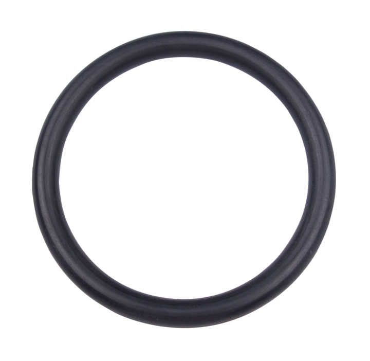 O-ring 46.99x5.33 in the group at GPLSHOP (5993357-01)