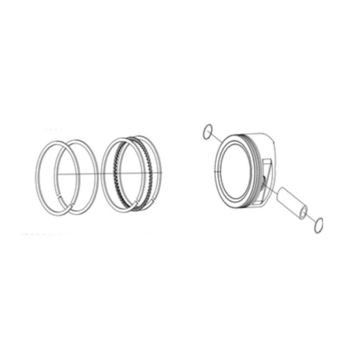 Piston assembly in the group at GPLSHOP (5993489-03)