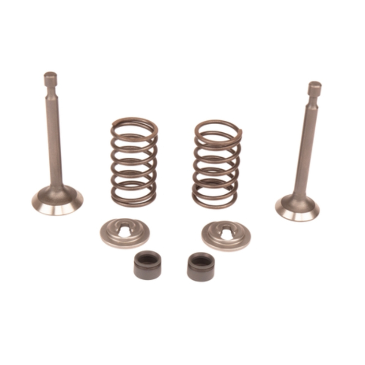 Valve Kit 5993490-42 in the group  at GPLSHOP (5993490-42)