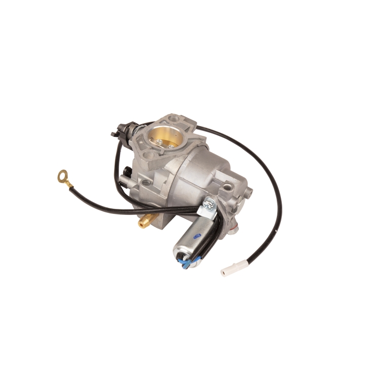 Carburettor in the group at GPLSHOP (5993491-08)