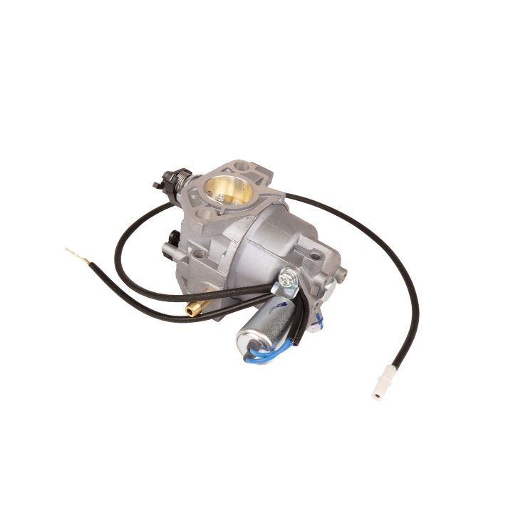 Carburettor in the group at GPLSHOP (5993491-09)
