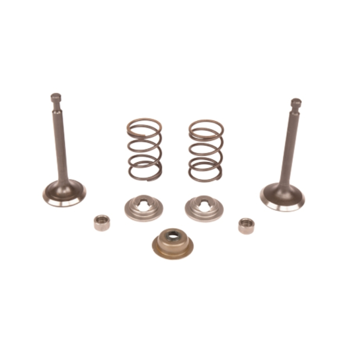 Valve kit in the group  at GPLSHOP (5993492-45)