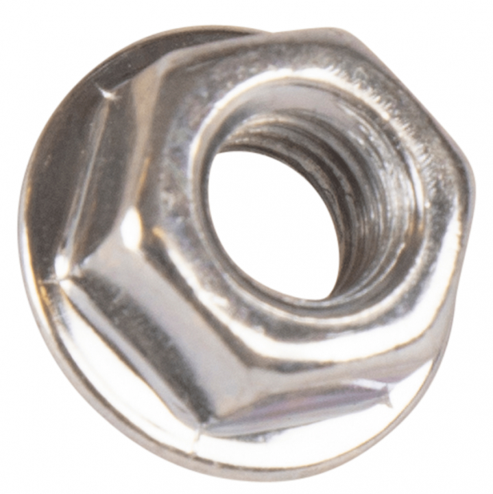 Nut in the group  at GPLSHOP (5993493-45)