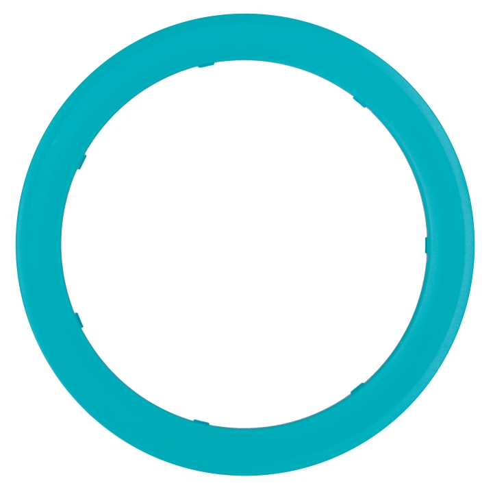 Ring in the group at GPLSHOP (5993581-01)