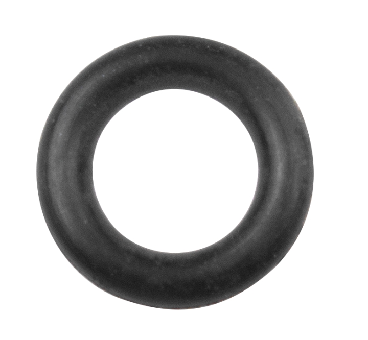 Seal in the group at GPLSHOP (5995496-01)