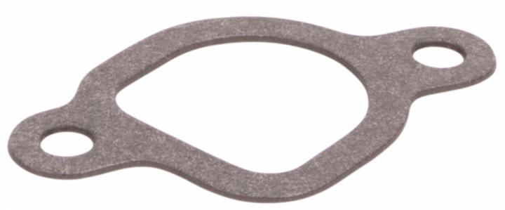 Intake Manifold Gasket in the group  at GPLSHOP (5995951-01)