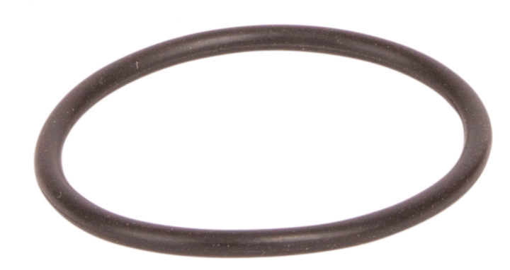 Sealing Ring in the group  at GPLSHOP (5995961-01)