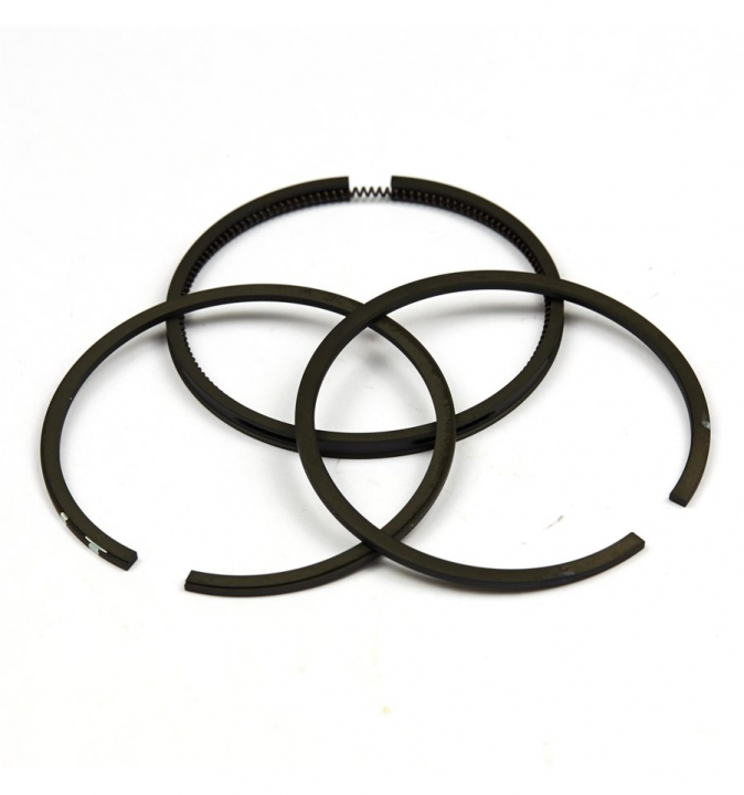 Piston Ring Set Std. in the group  at GPLSHOP (690014)