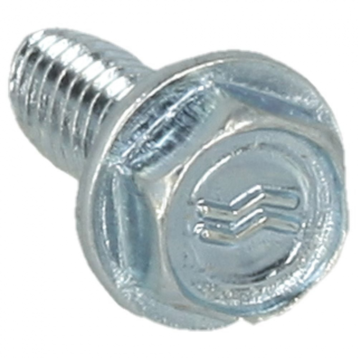 Screw in the group at GPLSHOP (690345)