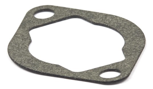 Gasket Briggs in the group  at GPLSHOP (692277)