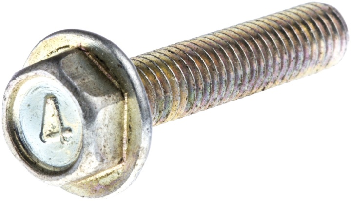 Screw 7252333-61 in the group at GPLSHOP (7252333-61)