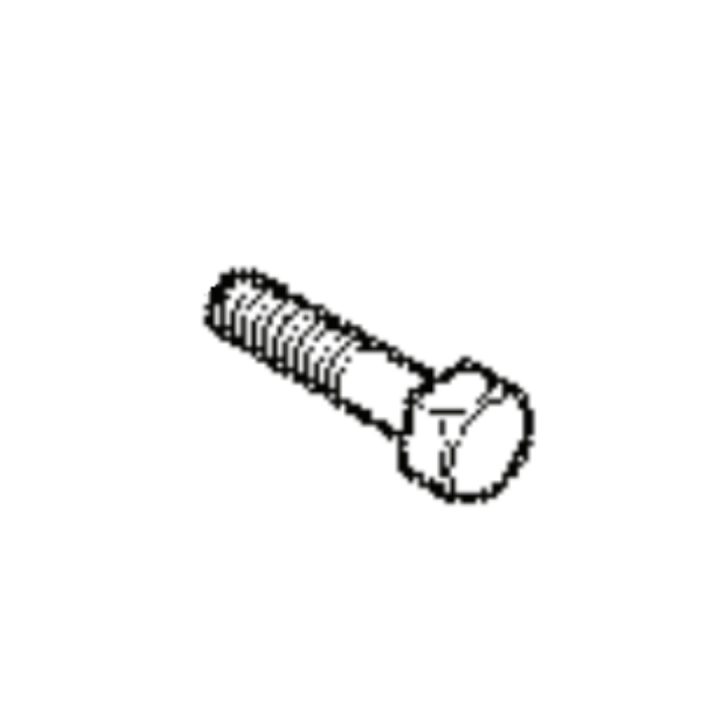 Screw 7255462-01 in the group  at GPLSHOP (7255462-01)