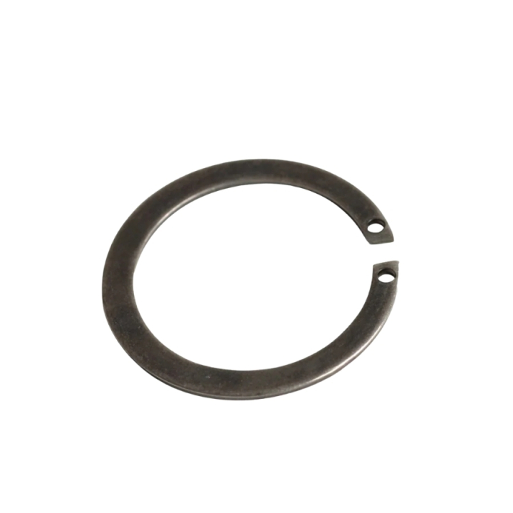 Lock ring in the group  at GPLSHOP (7353133-00)