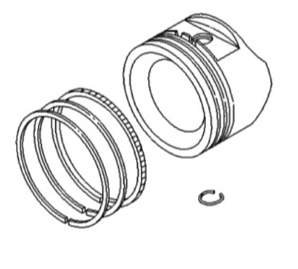  in the group  at GPLSHOP (793648)