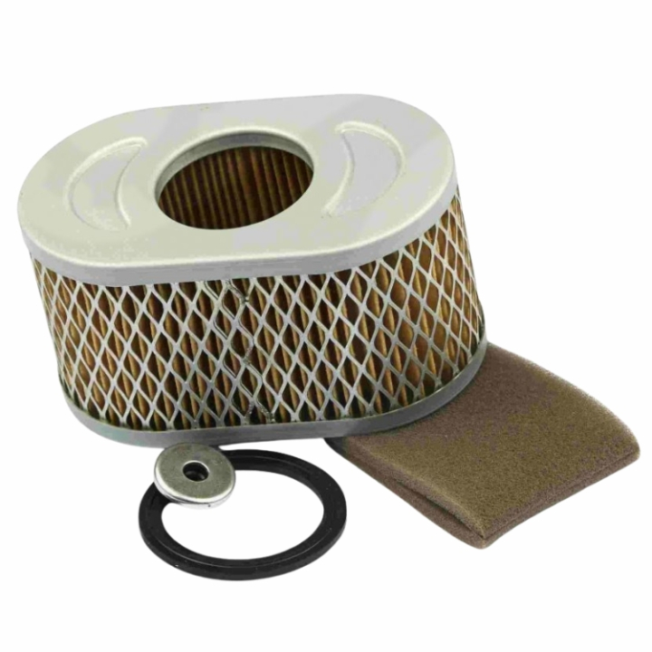 Air filter Insert in the group Spare Parts / Air Filters / Air Filter for Lawn Mower at GPLSHOP (797033)