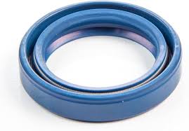 Sealing ring in the group Spare Parts / Spare parts Gräsklippare / Spare parts Briggs & Stratton at GPLSHOP (845659)