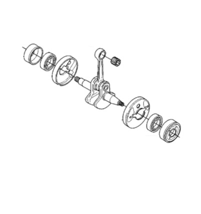 Crankshaft 5022128-04