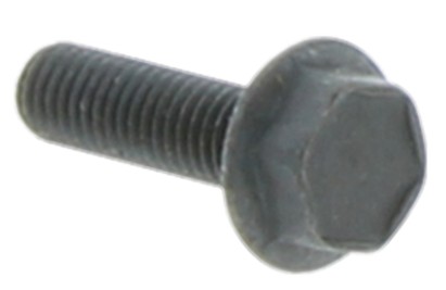 Screw M6Sf 5X18
