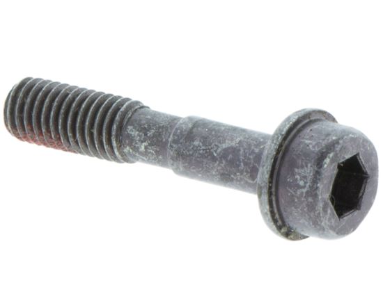 Screw 5032003-25