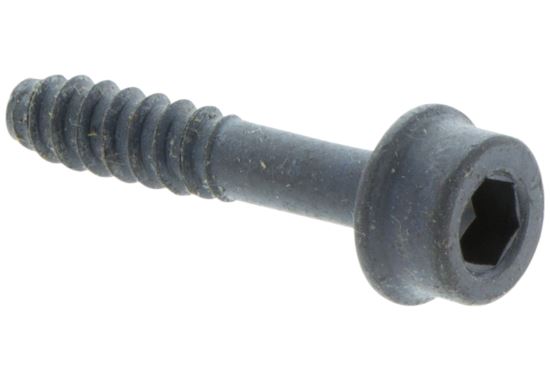 Screw 5032144-25