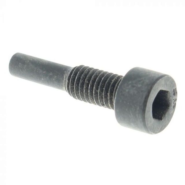 Screw 5037493-01