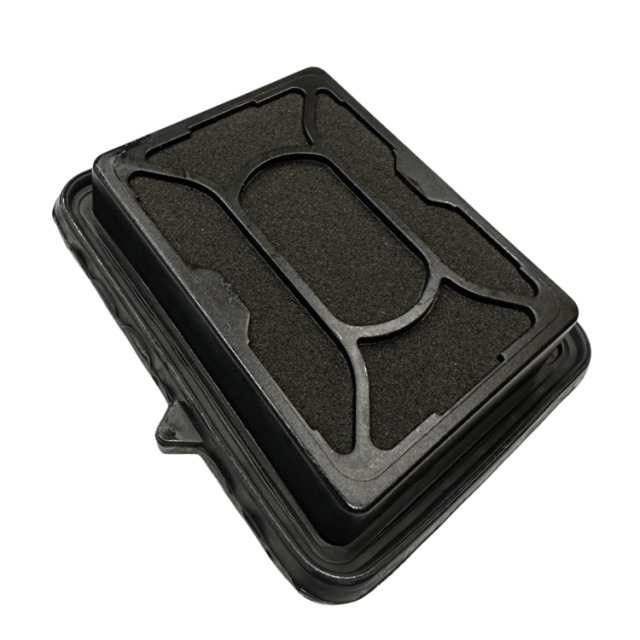 Air filter 5050347-02