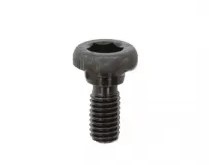 Screw 5060069-01 5060069-01