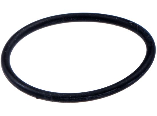 O-Ring 5061103-01