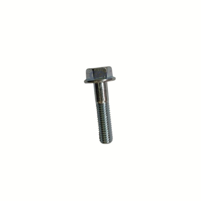 Screw