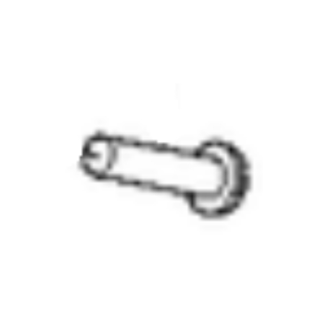 Screw