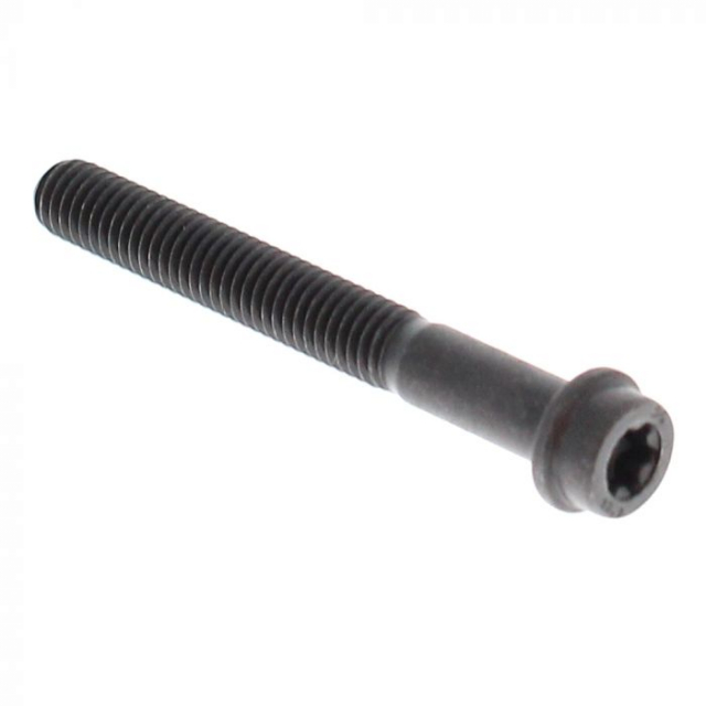 Screw 5258251-06