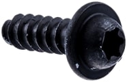 Screw 5300159-06