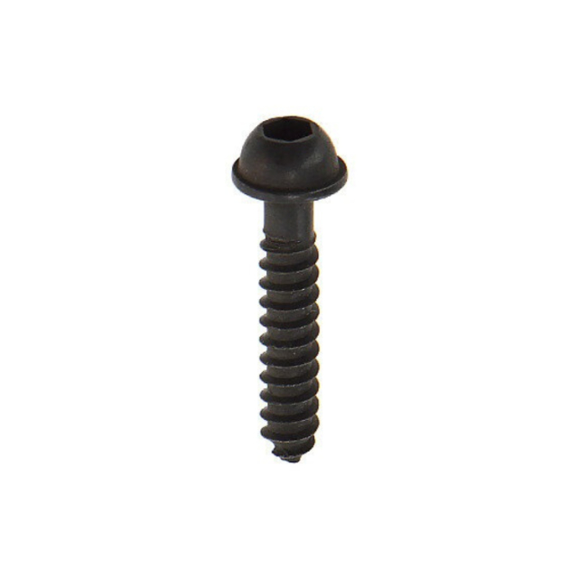 Screw 5300161-79