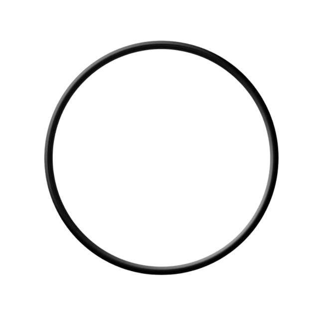 O-ring
