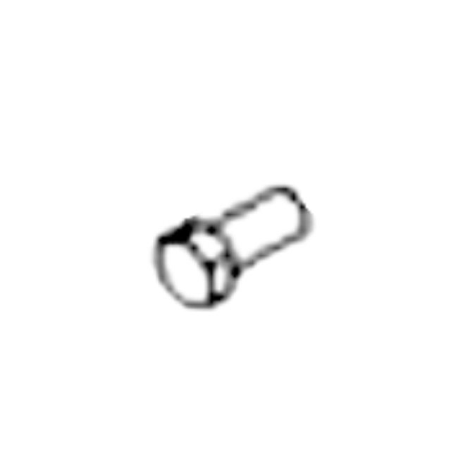 Screw