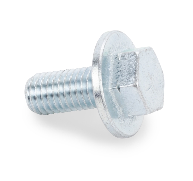 Screw