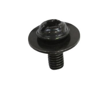 Screw