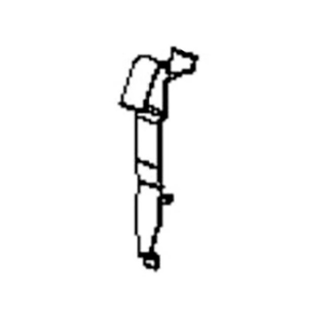 Arm