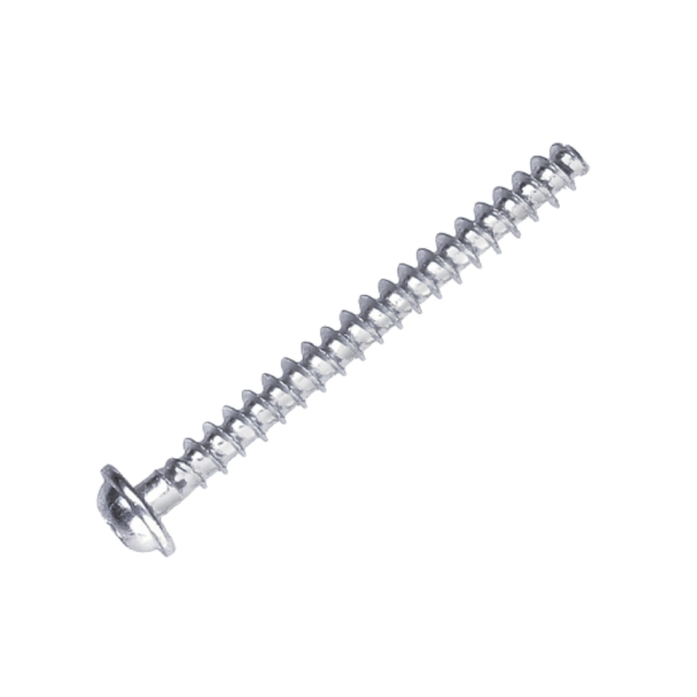 Screw