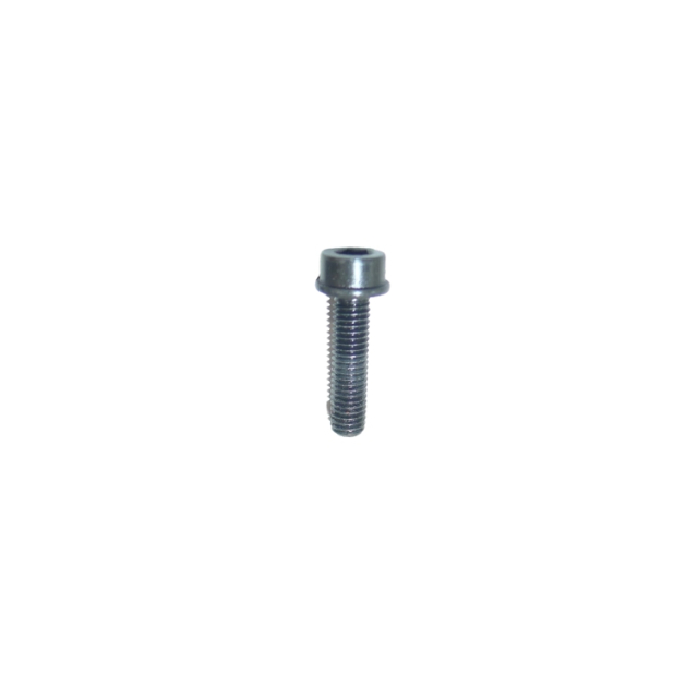 Screw, Mc6Sf M5X20 5862893-01